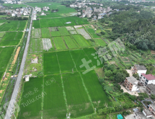 九江庐山市 254.66亩 水浇地 经营权出租