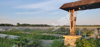 宜春高安市 350亩 水浇地 经营权出租