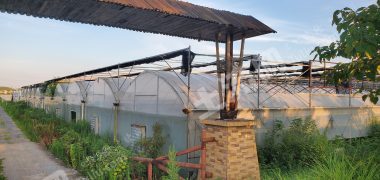 宜春高安市 350亩 水浇地 经营权出租