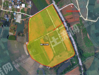 南宁上林县 75.65亩 果园 经营权出租
