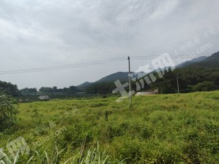 南宁上林县 20亩 水浇地 经营权出租