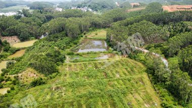 南宁上林县 60亩 水田 经营权出租
