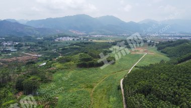 南宁上林县 300亩 旱地 经营权出租