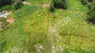 南宁上林县 300亩 旱地 经营权出租