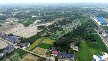 益阳赫山区368.67亩水田经营权出租