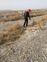 阿克苏温宿县 497.4亩 果园 经营权转包