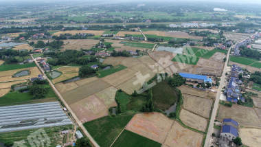 益阳赫山区214.84亩水田经营权出租