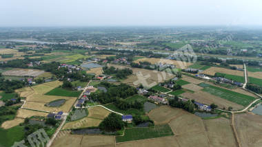 益阳赫山区341.21亩水田经营权出租