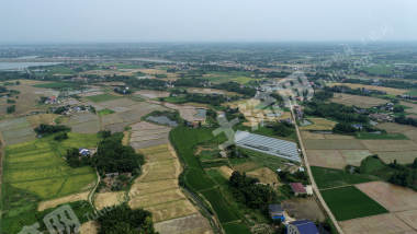 益阳赫山区185.98亩水田经营权出租