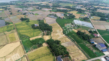 益阳赫山区189.71亩水田经营权出租