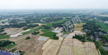 益阳赫山区 218亩 水田 经营权出租