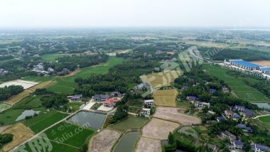 益阳赫山区211.1亩水田经营权出租