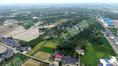 益阳赫山区 263.26亩 水田 经营权出租
