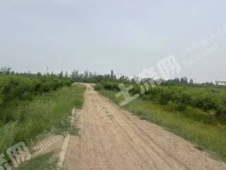 阿克苏沙雅县 63.64亩 果园 经营权出租