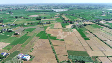 益阳赫山区 543.79亩 水田 经营权出租