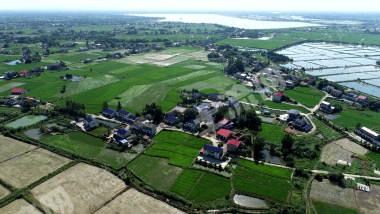 益阳赫山区 279.64亩 水田 经营权出租