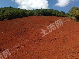 昆明寻甸回族彝族自治县 18亩 水浇地 经营权出租