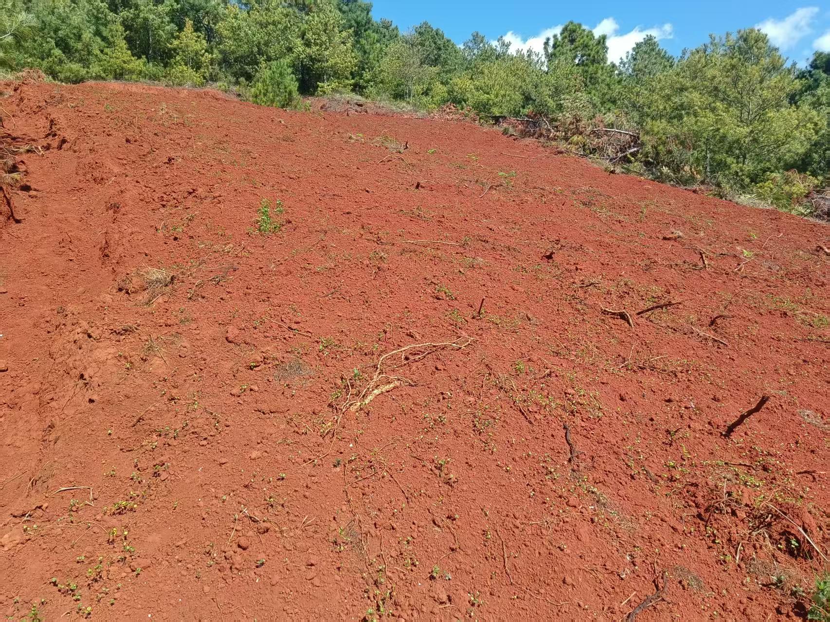 昆明寻甸回族彝族自治县 18亩 水浇地 经营权出租