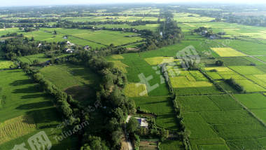 益阳赫山区565.72亩水田经营权出租