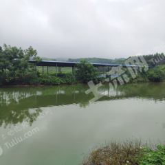 南宁上林县 3亩 坑塘水面 经营权出租