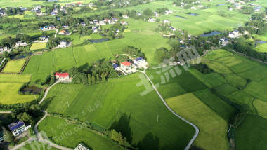 益阳赫山区513.68亩水田经营权出租
