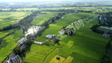 益阳赫山区512.32亩水田经营权出租