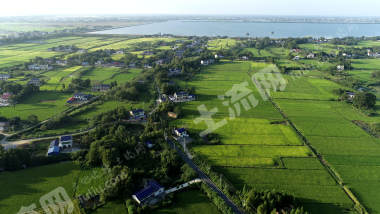 益阳赫山区236.9亩水田经营权出租