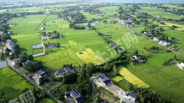 益阳赫山区488.84亩水田经营权出租