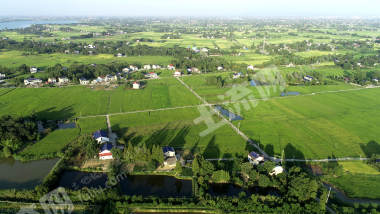 益阳赫山区489.81亩水田经营权出租