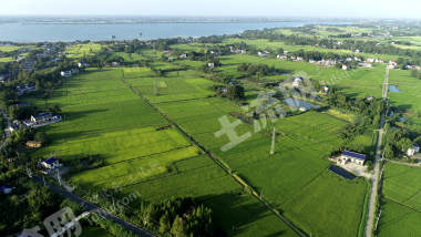 益阳赫山区236.9亩水田经营权出租