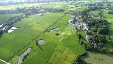益阳赫山区488.84亩水田经营权出租