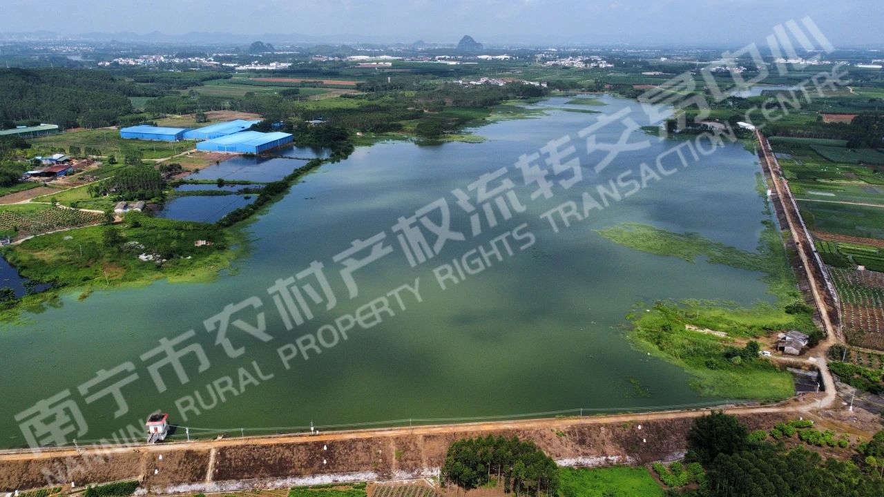 南宁横州市725.0亩水库水面经营权出租