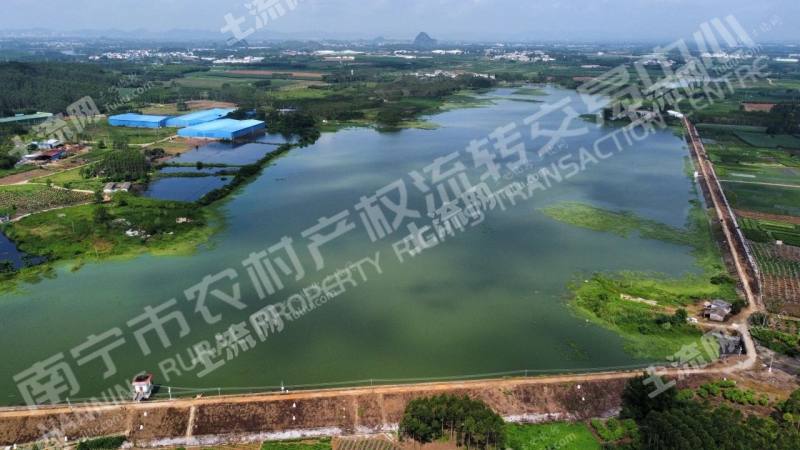 南宁横州市725.0亩水库水面经营权出租
