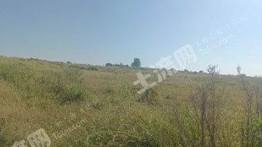 宜春高安市 210亩 水浇地 经营权出租