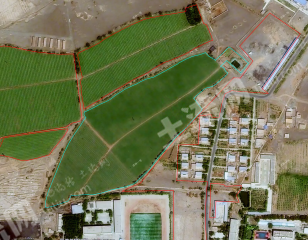 吐鲁番鄯善县 97.71亩 水浇地 经营权出租