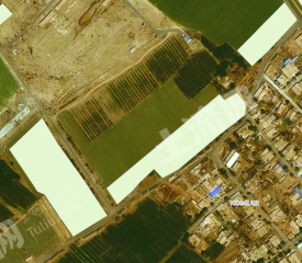 吐鲁番鄯善县 44.18亩 水浇地 经营权出租