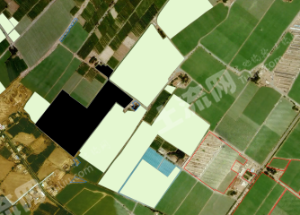 吐鲁番鄯善县 133亩 水浇地 经营权出租