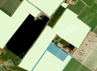 吐鲁番鄯善县 90亩 水浇地 经营权出租