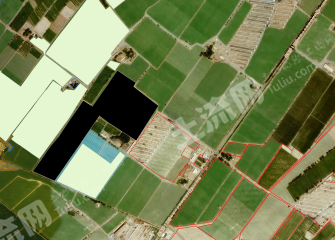 吐鲁番鄯善县 138亩 水浇地 经营权出租