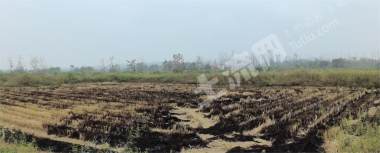 岳阳临湘市 5869.4亩 水田 经营权出租