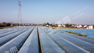 咸宁赤壁市 80亩 旱地 经营权出租