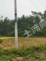 岳阳临湘市 1888亩 水田 经营权出租