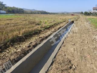 岳阳临湘市 2993.2亩 水田 经营权出租