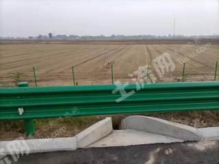 濮阳南乐县 45亩 水浇地 经营权出租