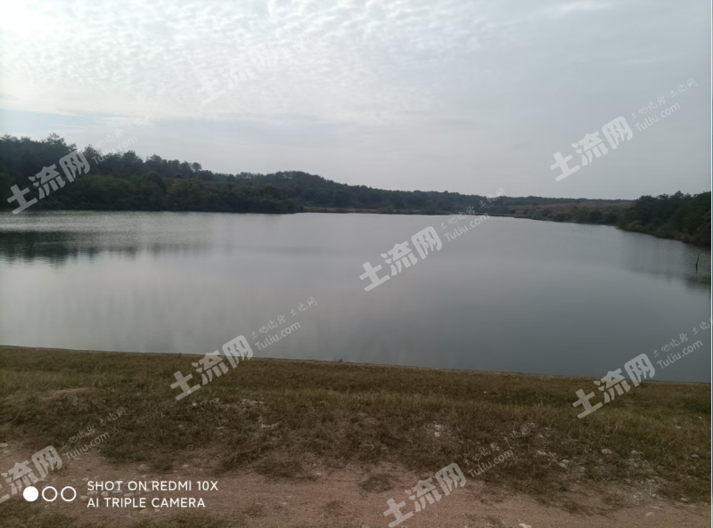 宜春高安市98.8亩水库水面经营权出租