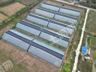 咸宁赤壁市 76.35亩 水浇地 经营权出租