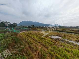 九江庐山市 90亩 水浇地 经营权出租