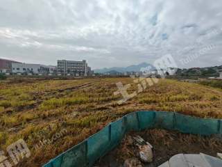 九江庐山市 90亩 水浇地 经营权出租