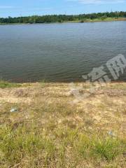 鹰潭贵溪市 124亩 水库水面 经营权出租