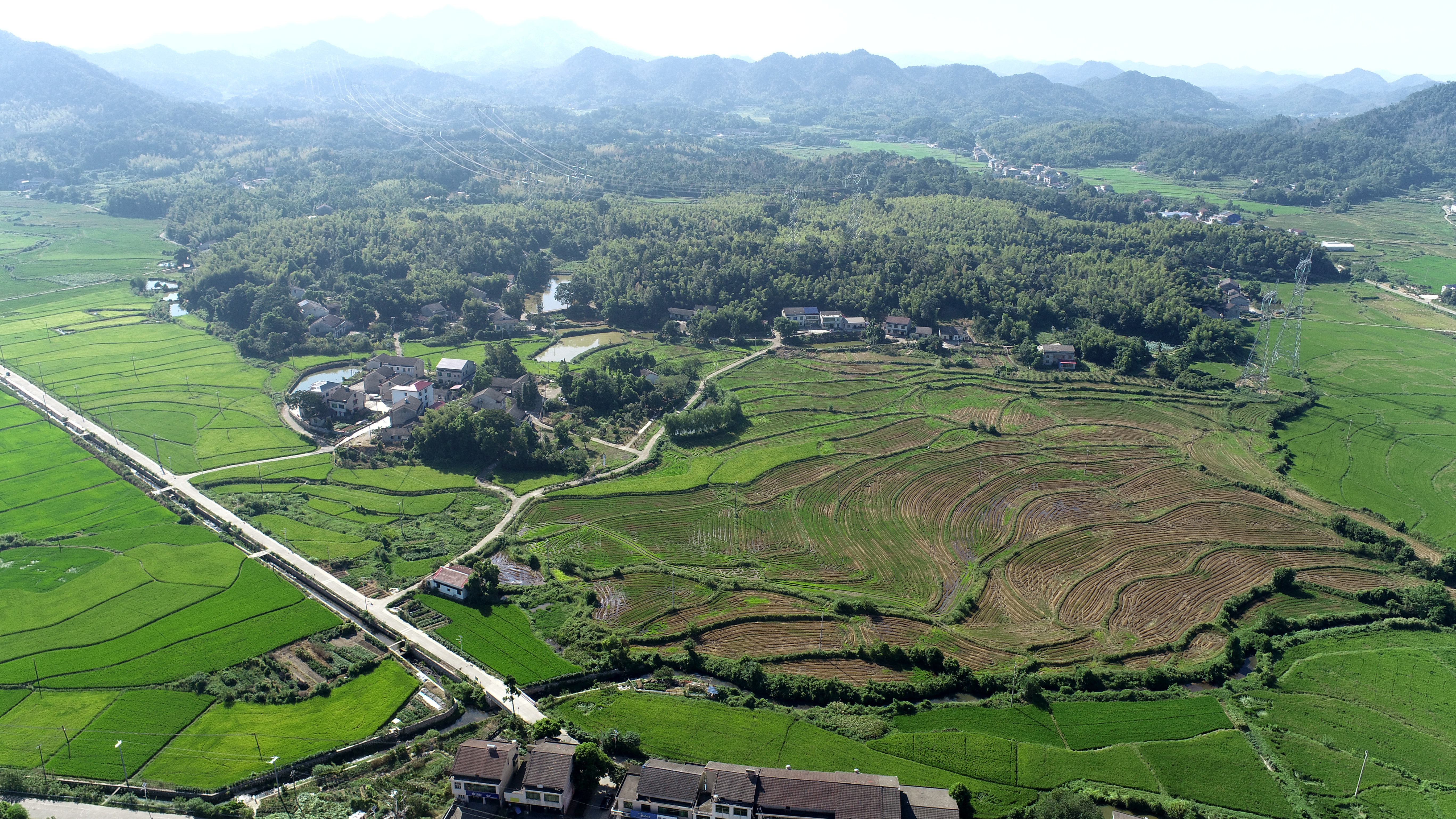 益阳赫山区828.68亩水田经营权出租